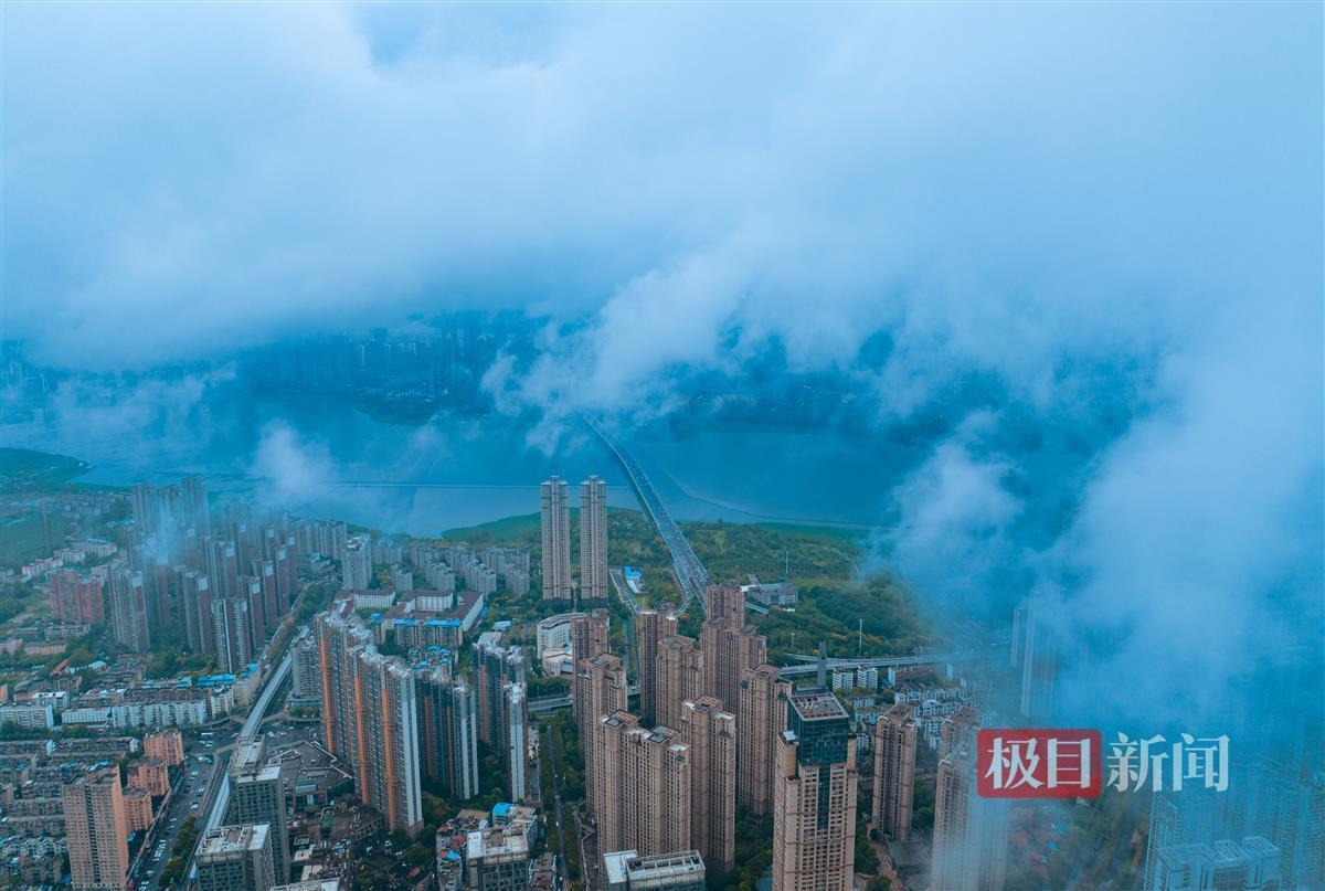 vg官方网站